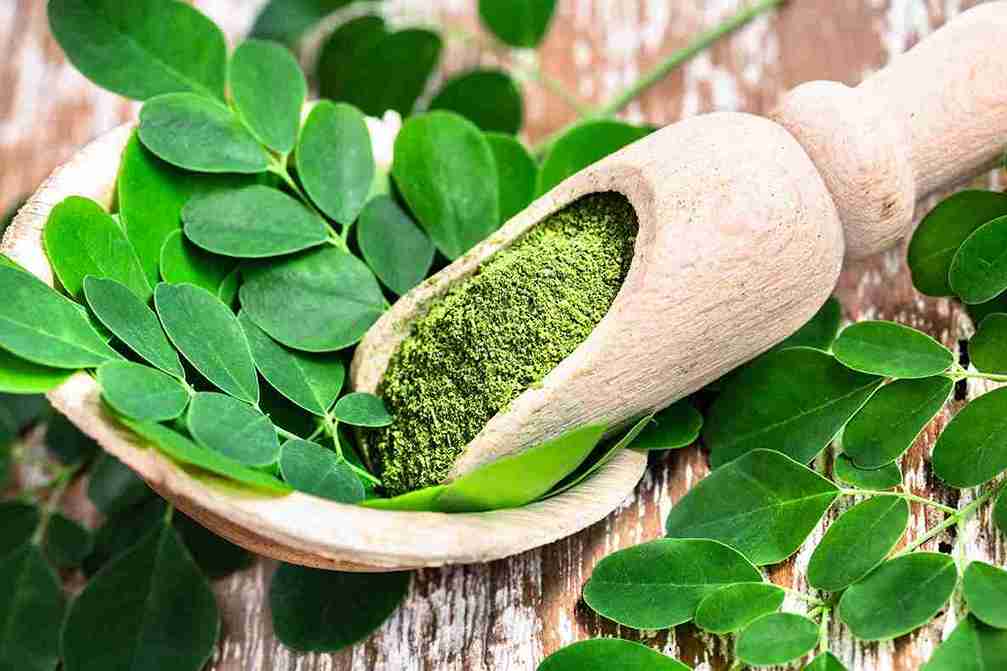 Moringa Capsules Side Effects